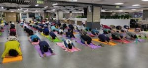 Offline Yoga Classes in Bangalore