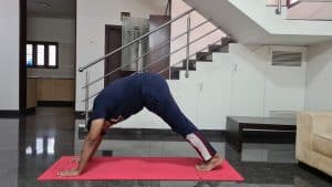 Corporate Yoga Classes Bangalore